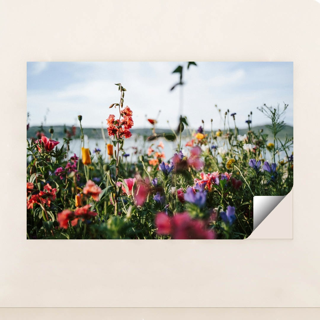 Wildflower Meadow by the Water by Elisabeth Jurenka - Peeliez