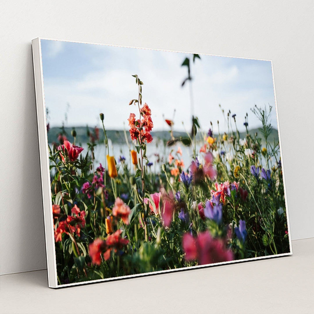Wildflower Meadow by the Water by Elisabeth Jurenka - White Frame Stretchiez