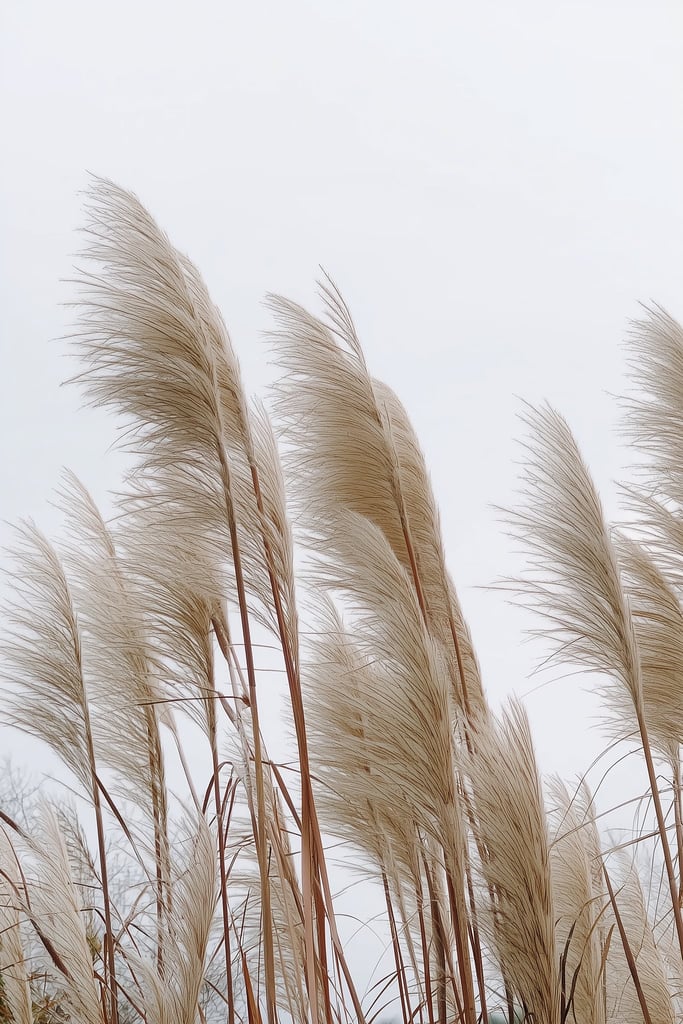This artwork features tall beige pampas grass stems against a pale sky.