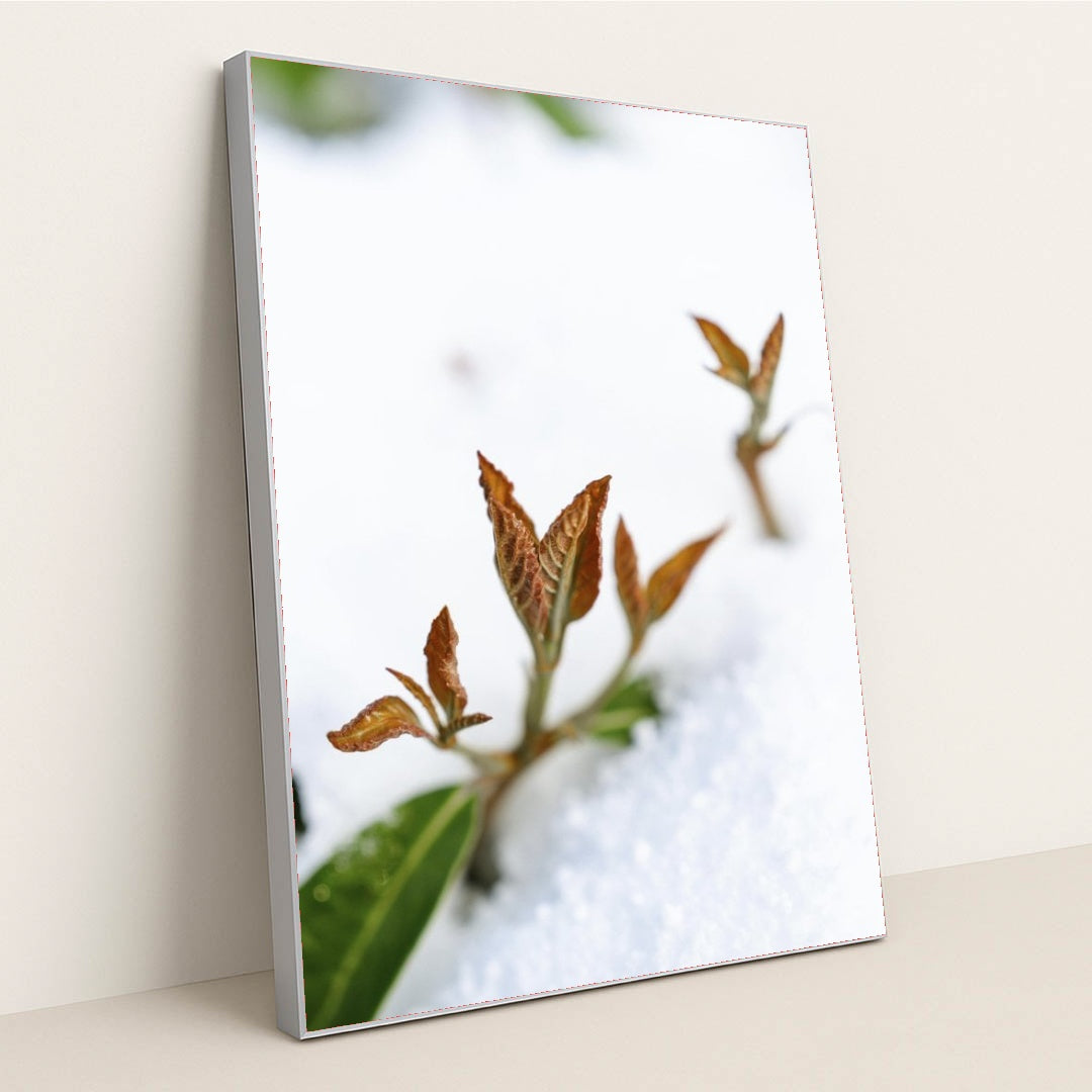 7090345836579 - Product Image