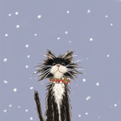 Winter Paws by Anna Stone