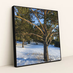 7090357370915 - Product Image