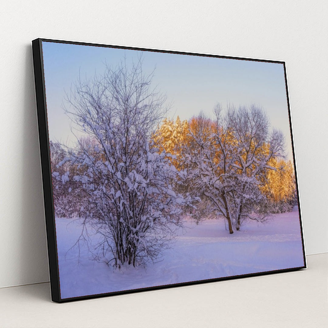 7090783780899 - Product Image