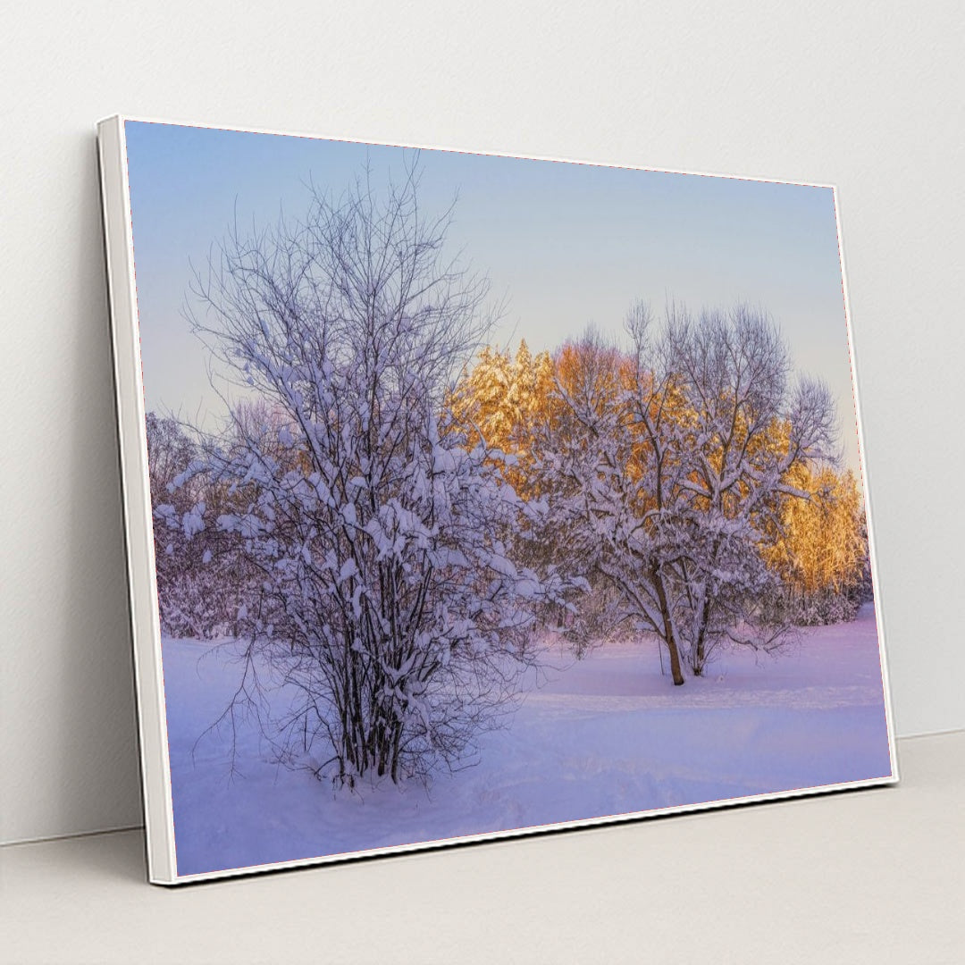 7090783780899 - Product Image