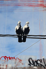 Wire Companions by Silo