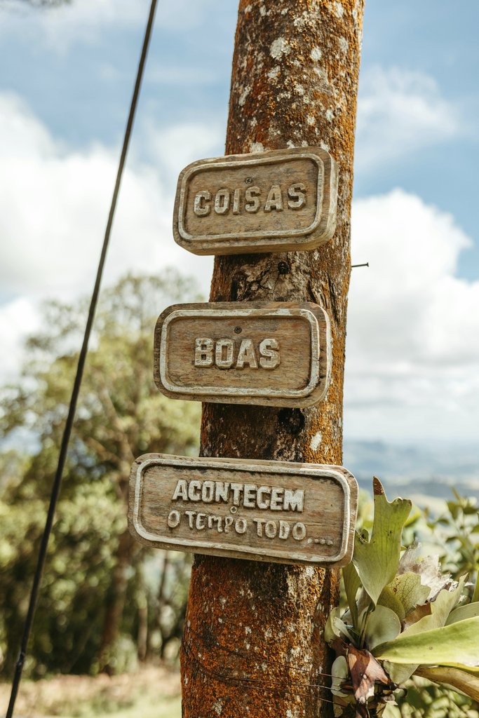 Jonathan Borba - Inspirational wooden sign mounted on a tree in Santa Teresa, Brazil, encouraging positivity.