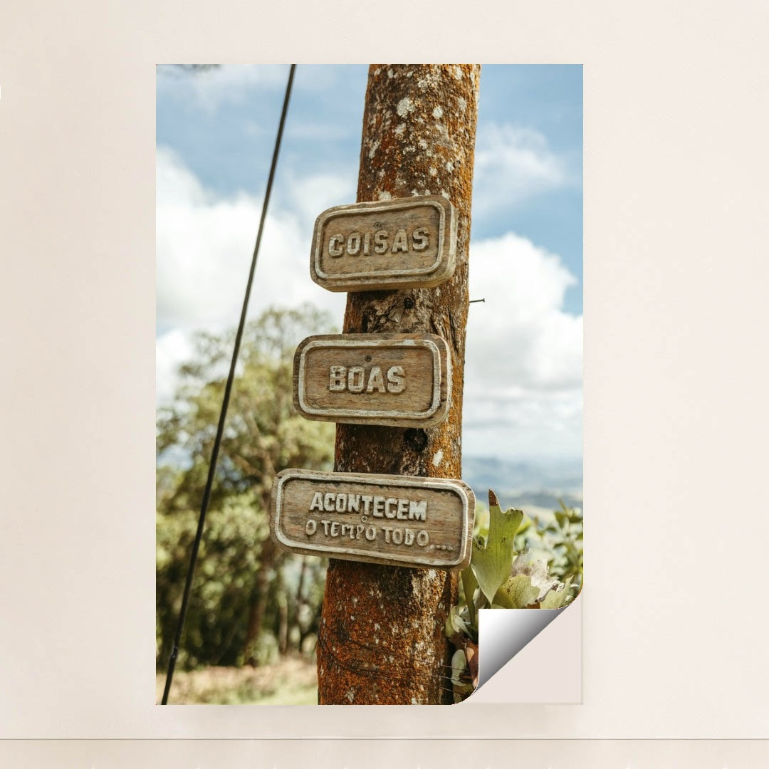 7090290917411 - Product Image