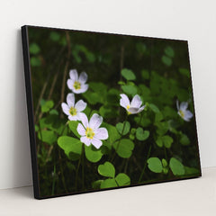 7090298945571 - Product Image