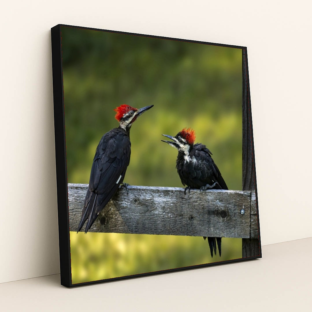 7090297045027 - Product Image