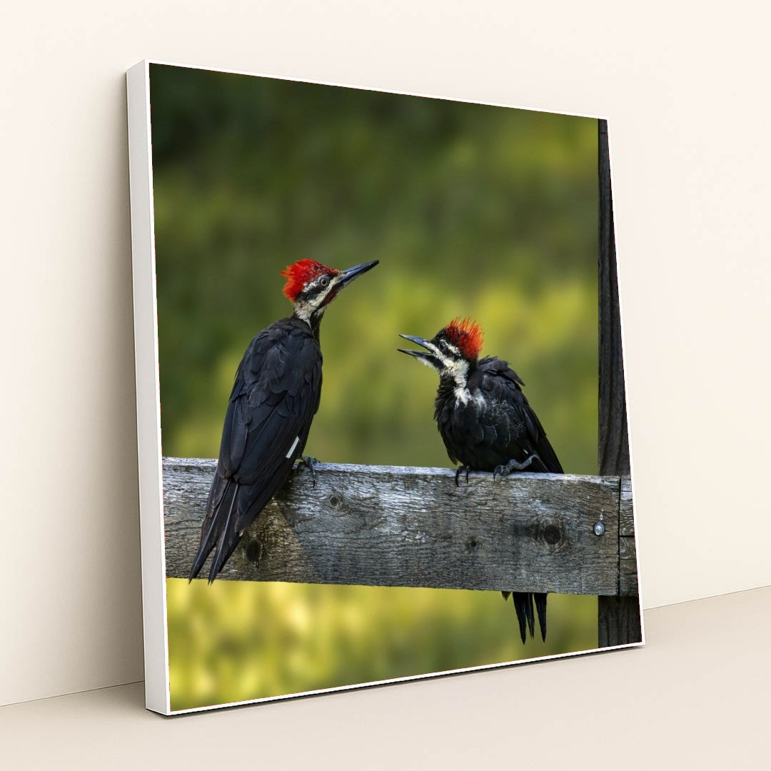 7090297045027 - Product Image