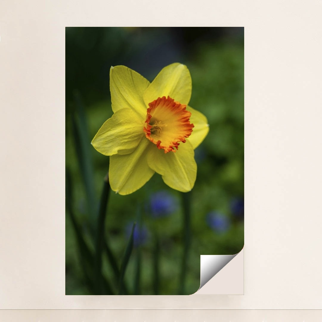 7090345476131 - Product Image