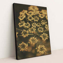 7090339020835 - Product Image