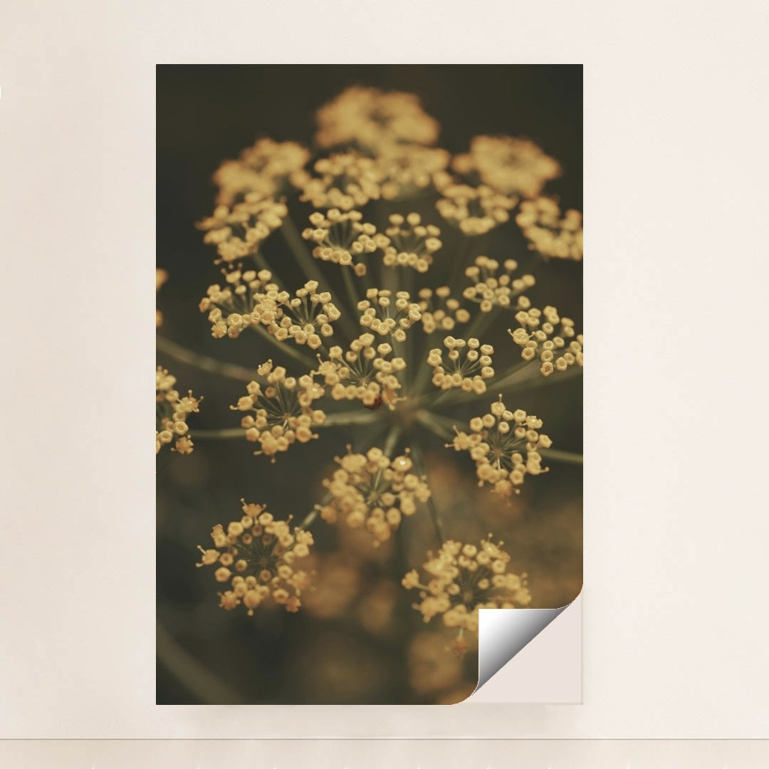 7090339020835 - Product Image