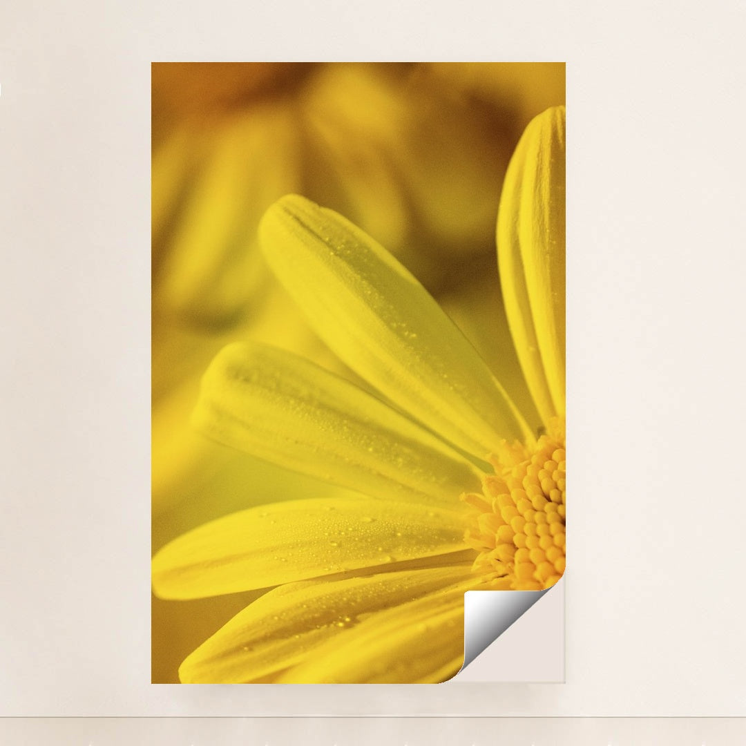 Dew-Kissed Yellow Flower Macro by Kat Smith - Peeliez