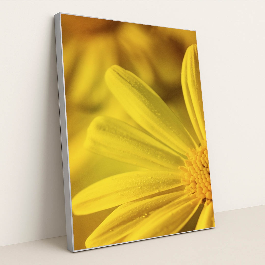 Dew-Kissed Yellow Flower Macro by Kat Smith - Silver Frame Stretchiez