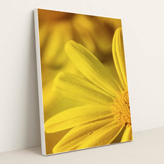 Dew-Kissed Yellow Flower Macro by Kat Smith - White Frame Stretchiez