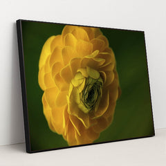 7090295406627 - Product Image