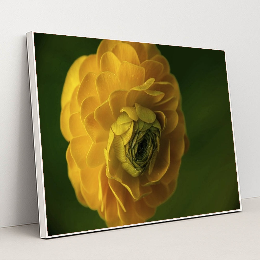 7090295406627 - Product Image