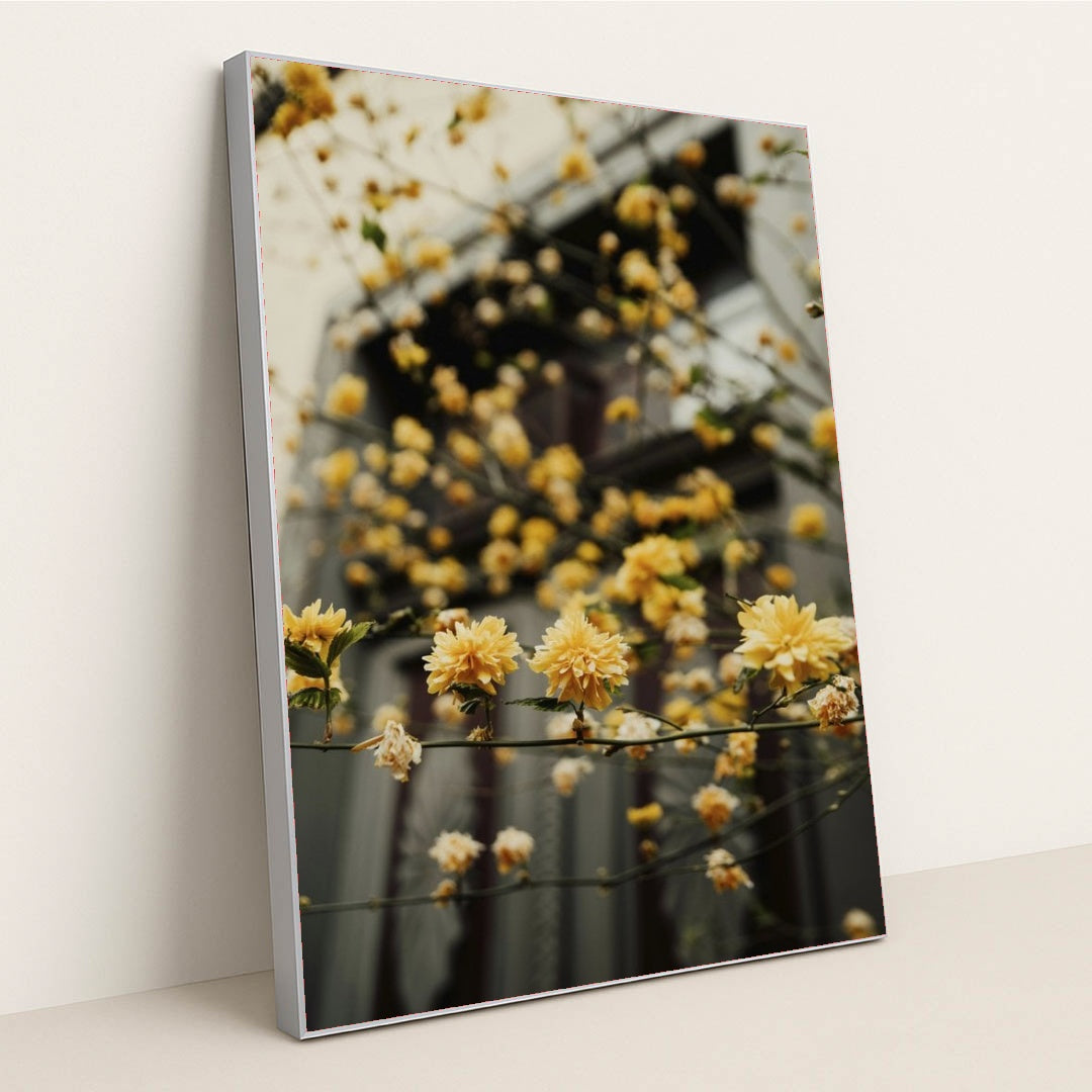 7090251759651 - Product Image