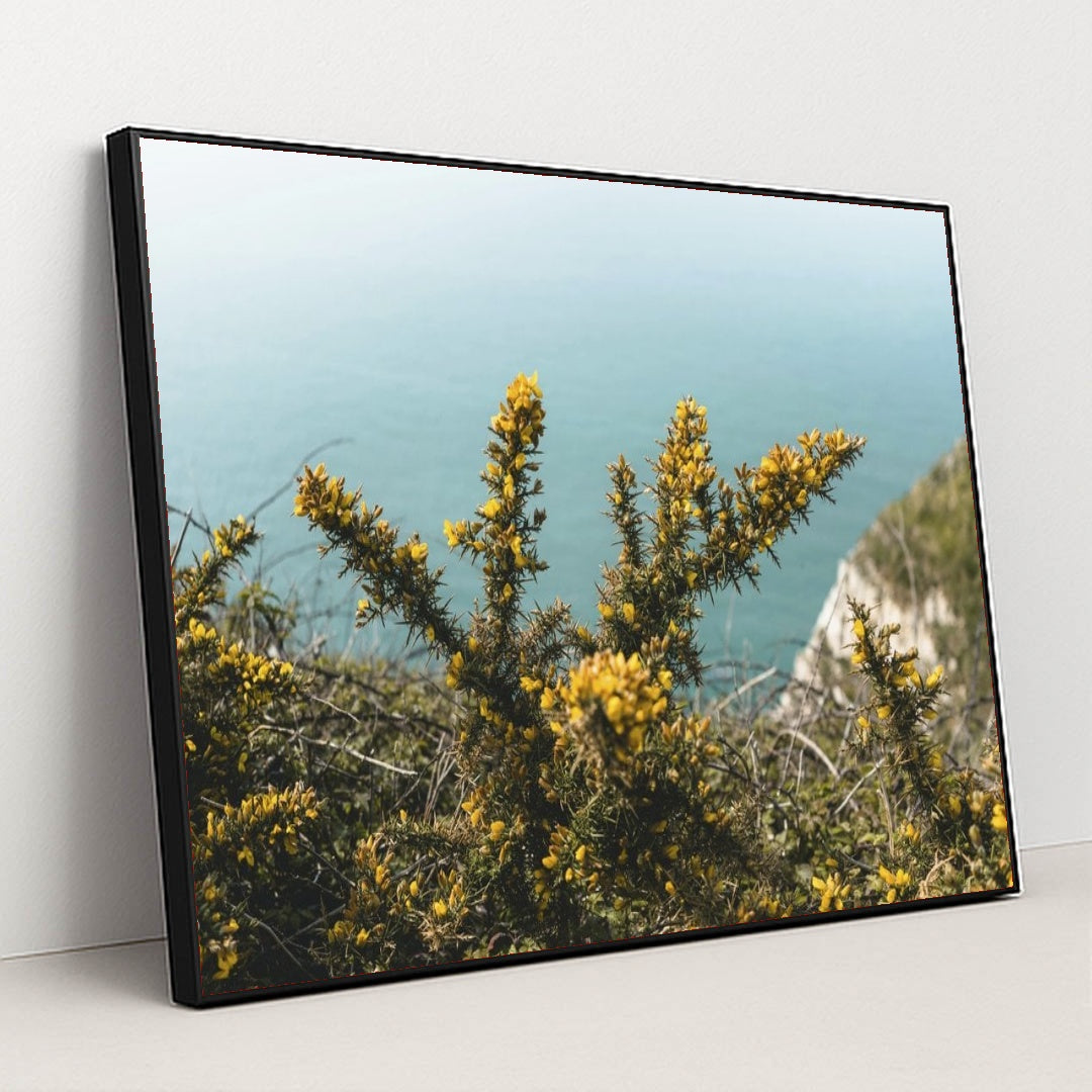 7090255167523 - Product Image