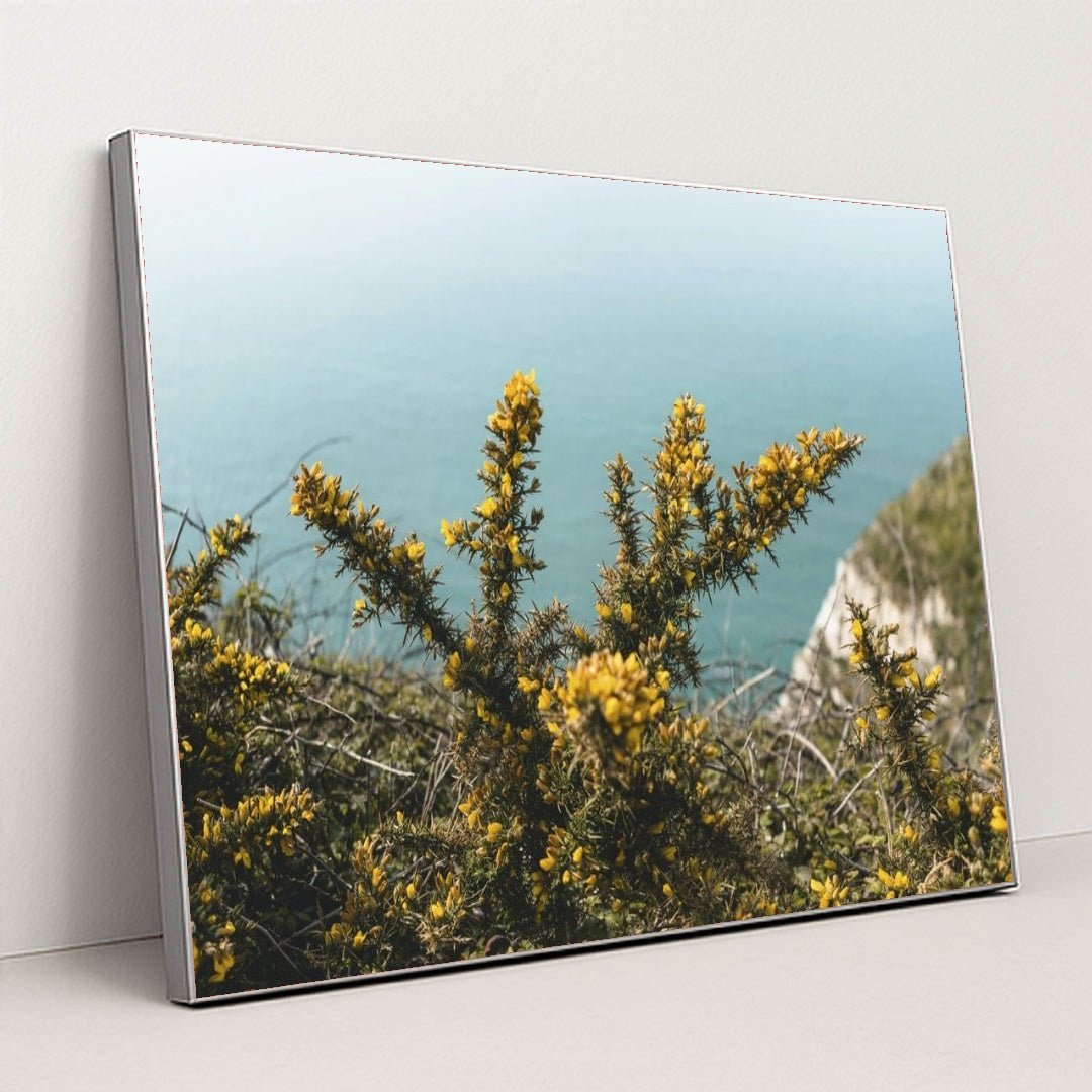 7090255167523 - Product Image