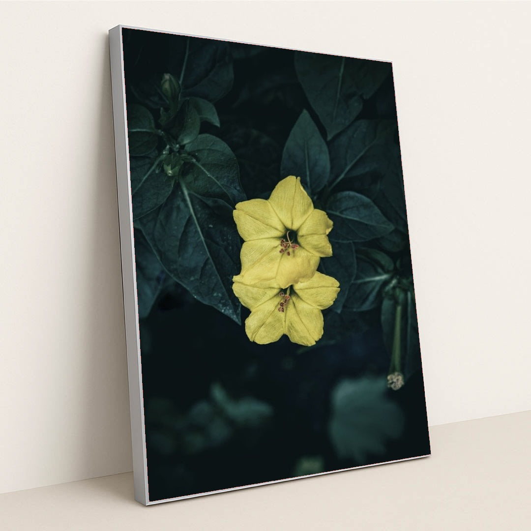 7090255265827 - Product Image