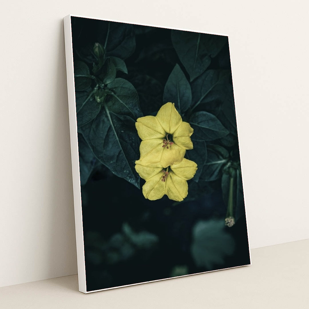 7090255265827 - Product Image