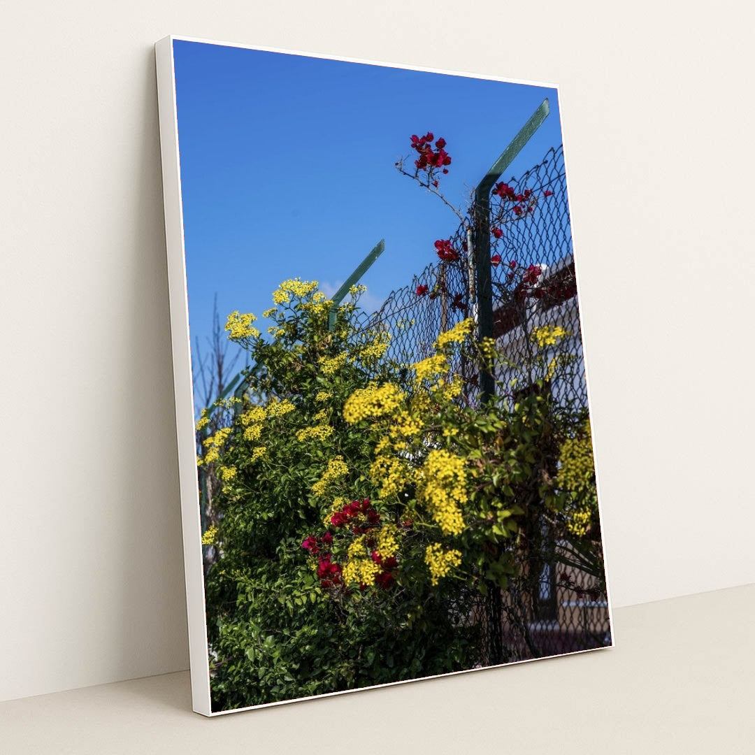 7090343575587 - Product Image