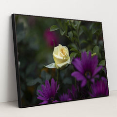 7090360287267 - Product Image