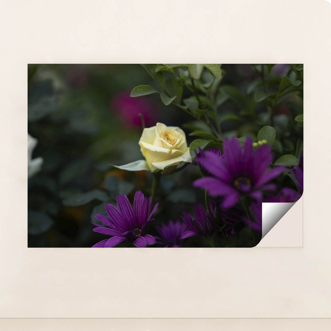 7090360287267 - Product Image