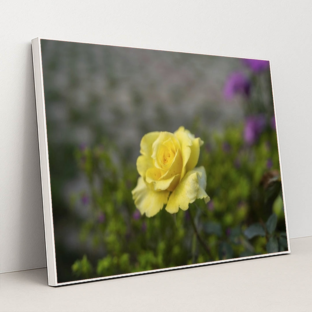 7090358583331 - Product Image