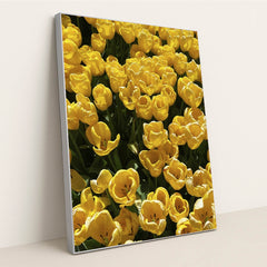 Vibrant Yellow Tulips in Bloom by N M - Silver Frame Stretchiez