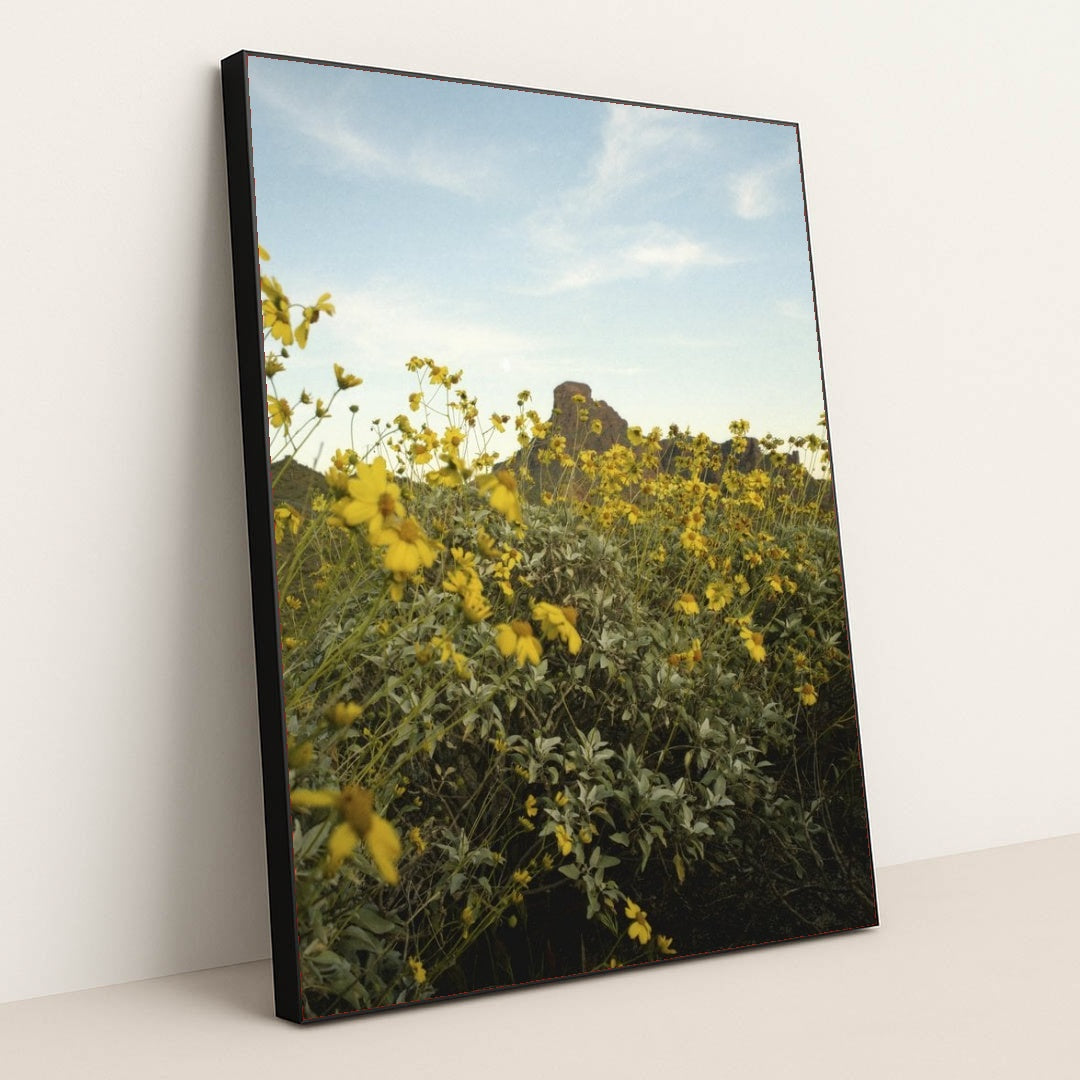 7090295930915 - Product Image