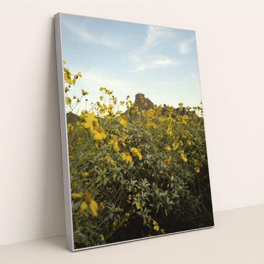 7090295930915 - Product Image