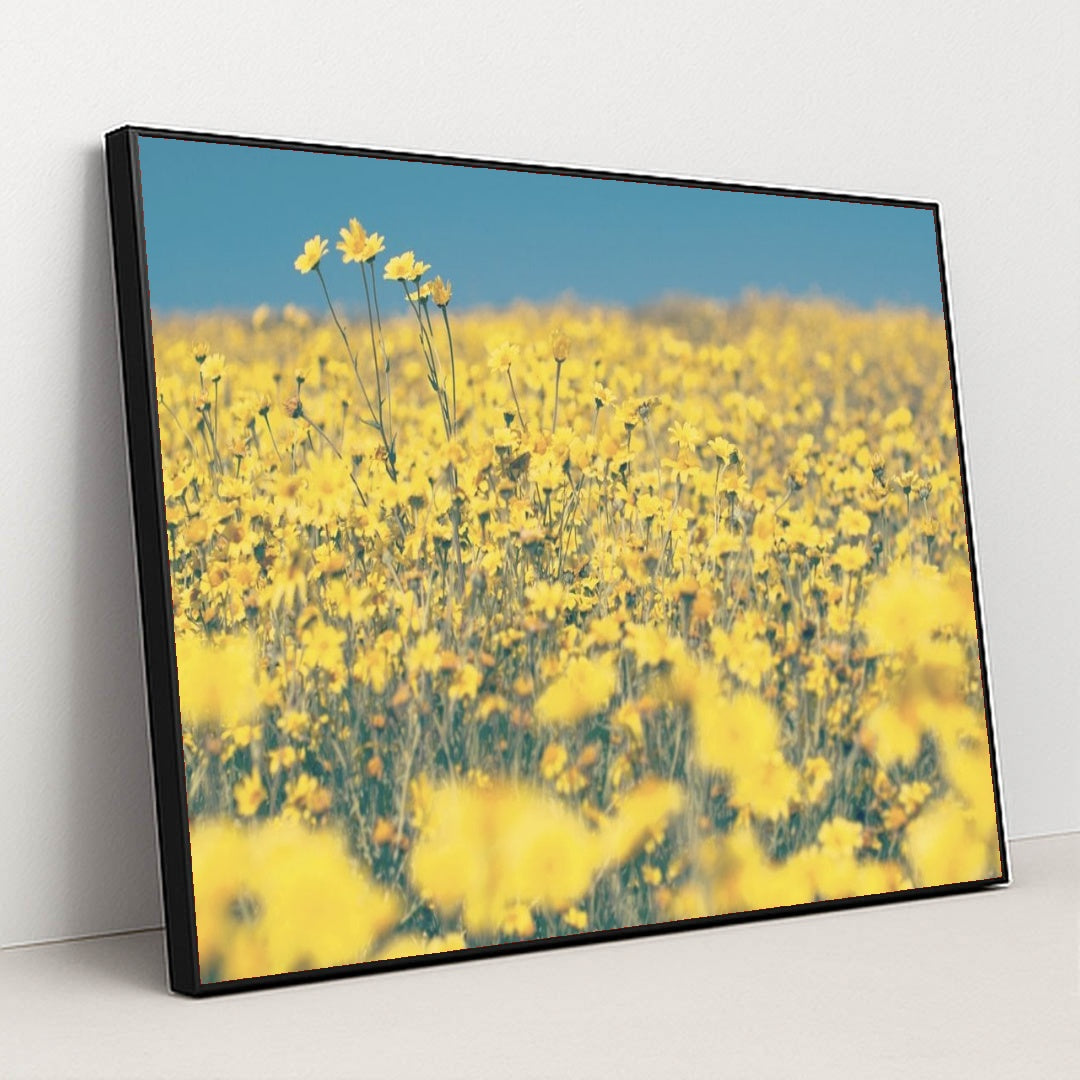 7090289082403 - Product Image