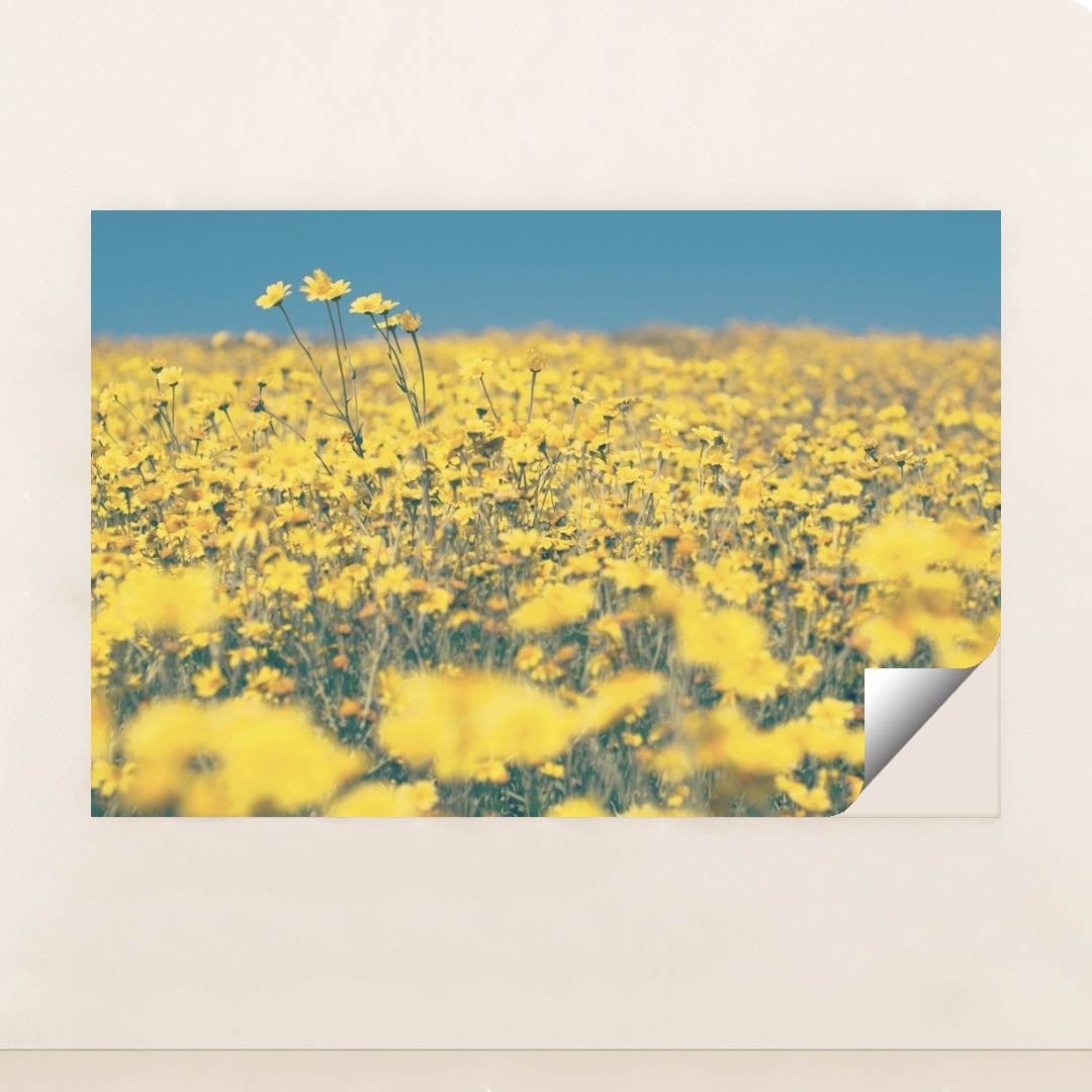 7090289082403 - Product Image