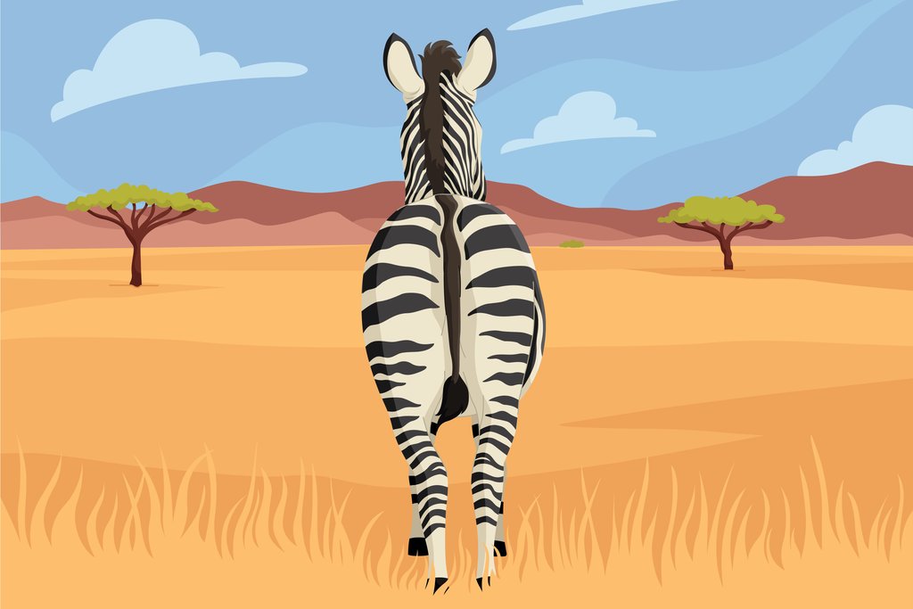 Rizki Kurniawan - A zebra standing in the middle of a desert